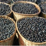 13 Side Effects Of Acai Berry You Should Be Aware Of